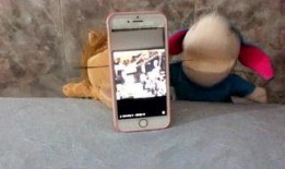 吃瓜妹娱乐的语音,揭秘娱乐圈幕后故事，带你领略明星真实生活