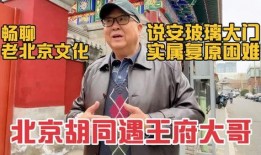 喜子爆料王老大视频大全,王老大视频大全背后的惊人真相