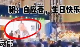 缅北投资者爆料视频大全,视频大全背后的真实故事